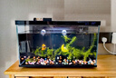 米家（MIJIA）智能生態(tài)魚(yú)缸定時(shí)喂食智能魚(yú)缸+畫(huà)法幾何增氧泵套裝 曬單實(shí)拍圖