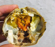 頂殼仙【活蟹】10只大閘蟹螃蟹禮盒裝全母江蘇湖泊清水蟹發(fā)非盤(pán)錦河蟹 熱銷(xiāo)嘗鮮 全母蟹2兩 8只裝 曬單實(shí)拍圖