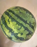【產地直采】麒麟奶油西瓜1粒4kg 曬單實拍圖