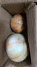 新鮮黃洋蔥黃金水果洋蔥即食蔬菜調料燒烤食材 新鮮黃洋蔥 500g 含箱 曬單實(shí)拍圖