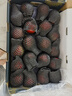 京鮮生Mr Apple新西蘭丹爍蘋(píng)果20粒巨無(wú)霸中秋禮盒單果180-220g源頭直發(fā) 曬單實(shí)拍圖