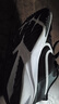 耐克（NIKE）大童透氣專(zhuān)業(yè)跑步鞋冬季男女童NIKE STAR RUNNER 4 DX7615 曬單實(shí)拍圖