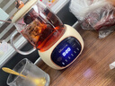 小熊（Bear）迷你養(yǎng)生壺小型一人煮茶器煮花茶壺 辦公室小型恒溫養(yǎng)生杯 0.4L全玻璃杯體電熱杯墊電燉杯送女友 0.4L YSH-Q04E5 曬單實(shí)拍圖