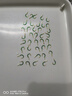 伊勢(shì)尼魚鉤散裝伊豆正品有倒刺魚鉤爆炸鉤鯽魚鉤草鯉魚鉤漁具用品 3號(hào) 50枚【加強(qiáng)款】 曬單實(shí)拍圖