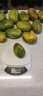 京喜加現(xiàn)采熱帶水果小臺(tái)農(nóng)芒果新鮮  輕微花皮半熟果發(fā)貨 臺(tái)芒5斤單果100克以上 曬單實(shí)拍圖