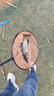 天元鄧剛千川8魚(yú)竿輕量大物釣魚(yú)竿臺釣竿鰱鳙竿手竿釣魚(yú)裝備 7.2m 曬單實(shí)拍圖