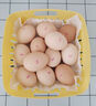可生食雞蛋含DHA無(wú)抗Omega-3 新鮮雞蛋 早餐買(mǎi)菜無(wú)菌蛋京東包郵 450g DHA雞蛋10枚 曬單實(shí)拍圖