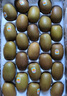 佳沛（zespri）新西蘭  陽光金奇異果16粒禮盒經(jīng)典果單果約 77-103g 水果 獼猴桃 曬單實拍圖