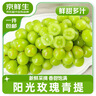 京鮮生國產(chǎn)陽光玫瑰凈重3斤單果10-12g 葡萄/提子生鮮水果 源頭直發(fā)包郵 曬單實拍圖