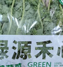 綠源禾心有機羽衣甘藍新鮮現摘輕食材kale健身西餐沙拉時(shí)令健康無(wú)農殘蔬菜 一斤 曬單實(shí)拍圖