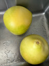 正宗沙瓤西紅柿水果番茄自然熟新鮮蔬菜生鮮減肥 4斤 帶箱 曬單實(shí)拍圖