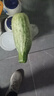 博洋9號甜瓜羊角蜜綠寶花蕾香瓜瓜甜瓜超甜脆瓜薄皮應季新鮮水果 博洋甜瓜:凈重[個(gè)人裝] 1斤 曬單實(shí)拍圖