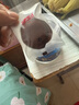 半山農(nóng) 鹿茸5克*4袋 特選鹿茸粉片血片男性滋補泡酒藥材 送長輩健康禮品 曬單實拍圖