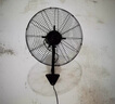 鉆石牌壁扇工業(yè)風扇大風力電風扇牛角扇大功率工廠車間商用立式工業(yè)大風扇吹除甲醛FS-65 曬單實拍圖