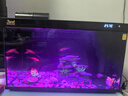 森森金麟超白智能魚缸小型桌面免換水生態(tài)魚缸一體缸自循環(huán) 【自動(dòng)喂食】LE-480B+加熱棒 曬單實(shí)拍圖