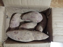 魯禧廣西新鮮紫薯 當季精品紫薯地瓜 軟糯香甜健康輕食生鮮蔬菜 中果凈重4.5斤（單果150-400g） 曬單實(shí)拍圖