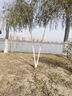 小魔雨傘全自動(dòng)晴雨傘男女晴雨兩用遮陽(yáng)傘大號加固抗風(fēng)144骨自動(dòng)傘 曬單實(shí)拍圖