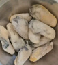 海鮮世家冷凍生蠔肉1.6斤 60-70只/袋 牡蠣肉 火鍋燒烤食材海鮮生鮮 曬單實(shí)拍圖