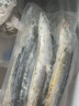 朵芙 新鮮秋刀魚(yú) 16-28條 獨立包裝刀魚(yú)秋刀魚(yú)燒烤食材冷凍海鮮水產(chǎn) 【嘗鮮秋刀魚(yú)】500g*2袋 曬單實(shí)拍圖