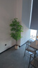 臨雅南天竹仿真綠植室內大型盆栽高端輕奢假花樹(shù)客廳仿生植物落地擺件 1.8米丨四桿南天竹+半圓形白盆 曬單實(shí)拍圖