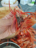 繽鮮 超大紅魔蝦 遠洋捕撈胭脂魔鬼紅蝦鮮活冷凍生腌刺身級生鮮蝦類(lèi) 刺身級紅魔蝦 500g(凈重)  16-19cm 曬單實(shí)拍圖