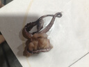 新鮮魷魚須鮮活冷凍二本足生鮮尤魚鐵板魷魚串腿海鮮商用批發(fā) 【嚴(yán)選品質(zhì)】 已去牙去眼 500g(凈重)  3斤裝 曬單實(shí)拍圖