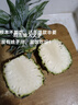 皇家小虎嵊州風(fēng)味手工老面小籠包2斤/約40個(gè) 早餐包子半成品食品 源頭直發(fā) 曬單實(shí)拍圖