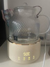 World Kitchen康寧養生壺全玻璃恒溫壺煮茶壺煮茶器1L辦公室家用花茶壺燒水壺電熱水壺（升級標準款+全玻璃蓋） 曬單實(shí)拍圖
