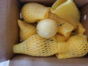 東方甄選黃金百香果酸甜即食自然熟新鮮百香果應(yīng)季生鮮水果農(nóng)產(chǎn)品 2斤中果（單果70g+）約11-14顆 曬單實拍圖