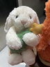 Jellycat害羞懷抱圣誕樹(shù)邦尼兔毛絨玩偶禮物公仔2025圣誕新品送禮生日禮物 乳白色 Small 曬單實(shí)拍圖