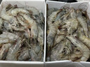 鮮京采 原裝進(jìn)口厄瓜多爾白蝦 凈重3.3斤 大號30-40規格 50-66只/盒 曬單實(shí)拍圖