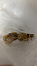 北海印象【北海產(chǎn)地】金蠔干大號250g牡蠣干煲湯煮粥材料 源頭直發(fā)包郵 曬單實拍圖