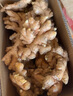 【有機】云南小黃姜 新鮮現挖生姜沙地黃姜月子姜 調味品蔬菜食材 【有機小黃姜】2500g 曬單實(shí)拍圖