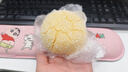 巖谷（Iwatani）卡式爐氣罐燃氣煤氣體便攜氣瓶250g卡磁爐噴搶瓦斯丁烷罐安全防爆 原裝250g*24+收納袋 曬單實(shí)拍圖