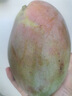 壹萌果蔬凱特芒芒果 當季現摘四川大芒果新鮮水果青芒果整箱送禮 5斤精品果【單果300g+】 凈4.5斤 曬單實(shí)拍圖