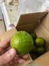 正宗塔希提無(wú)籽青檸檬香水檸檬薄皮小青檸奶茶店飲品搭檔 2斤 曬單實(shí)拍圖