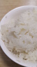 羊脂籽米 新疆大米1斤 沙漠玉珠香米 粳米胚芽米氮?dú)獗ｕr500g 2024年新米 曬單實(shí)拍圖