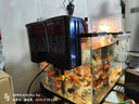 魚(yú)缸過(guò)濾器三合一瀑布壁掛式設備小型凈水器養魚(yú)循環(huán)水系統循環(huán)泵 701過(guò)濾器送過(guò)濾棉 曬單實(shí)拍圖