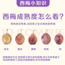 京鮮生 新疆法蘭西西梅 凈重3斤 單果18g+ 新鮮水果 源頭直發(fā)包郵 曬單實(shí)拍圖