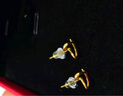 中國黃金（CHINA GOLD）愛(ài)心黃金耳釘女款足金心形5G耳飾養耳洞情人節生日禮物送女友老婆 愛(ài)心耳釘 約0.8g 曬單實(shí)拍圖