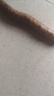 張寶山河南焦作壚土鐵棍山藥凈重5斤 中秋送長(cháng)輩（長(cháng)約50cm）源頭直發(fā) 曬單實(shí)拍圖