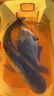 春季釣魚(yú)小藥高濃度大麥紅薯膏黑坑鯉魚(yú)鯽魚(yú)餌料用品通殺配方 曬單實(shí)拍圖
