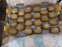 佳沛（zespri）新西蘭  陽光金奇異果巨大果22粒原箱 單果重約144-175g 獼猴桃 曬單實拍圖