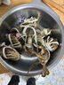 【活蟹】陽(yáng)澄靖壹大閘蟹 現貨鮮活大螃蟹公母蟹 海鮮水產(chǎn)生鮮禮盒 公4.0-4.3兩母3.0-3.3兩5對10只 曬單實(shí)拍圖