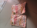 釣魚王赤尾青免冷凍魚餌鯽鯉魚羅非魚餌黑坑鮮腥蝦肉粉餌料 曬單實拍圖