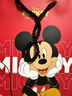 迪士尼（DISNEY）k歌麥克風(fēng)音響一體兒童話(huà)筒無(wú)線(xiàn)藍牙小音箱音響小度智能語(yǔ)音男女生小眾高級生日禮物禮盒 MK30米妮 曬單實(shí)拍圖