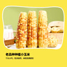 華田禾邦【新玉米】云南香糯小玉米2斤 新鮮甜黏玉米粒棒苞米 早餐代餐 曬單實(shí)拍圖