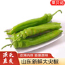 京地達山東新鮮大尖椒凈重3斤單果100g+牛角椒青辣椒源頭直發(fā)包郵 曬單實(shí)拍圖