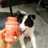 哈藥狗狗輔酶Q10 寵物保護心臟肥大衰竭調理急促氣喘咳嗽倒吸氣130粒 曬單實(shí)拍圖