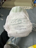 babycare金山茶花嬰兒拉拉褲試用裝XL碼3片(12-17kg)尿不濕【新老混發(fā)】 曬單實(shí)拍圖